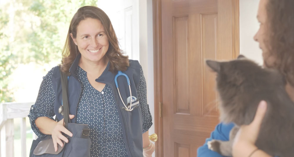 Dr. Annette Otis offers compassionate end of life veterinary care for Central New York