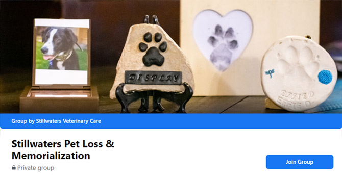 Stillwaters Pet Loss & Memorialization Facebook Group