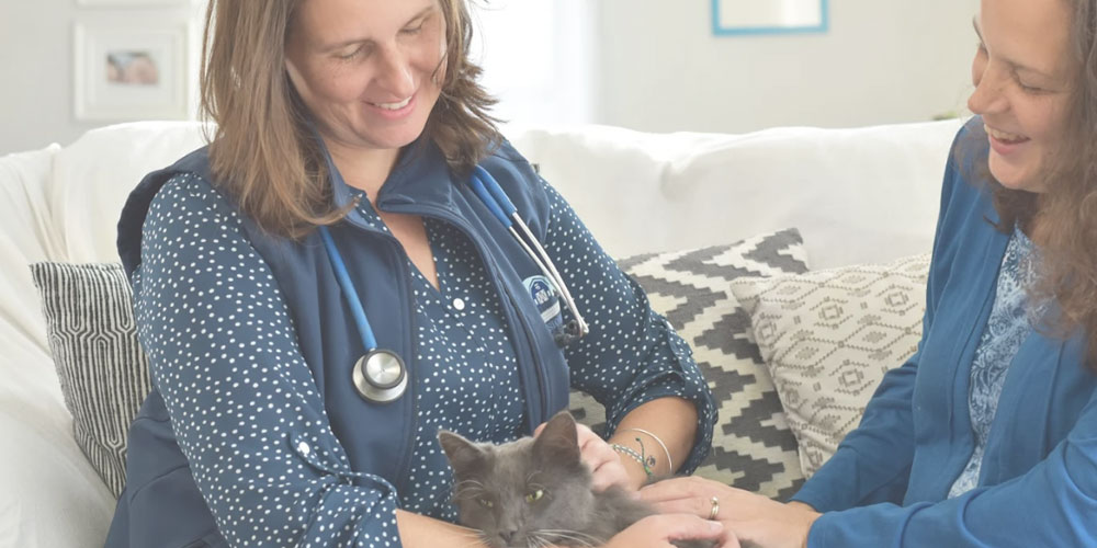 In-Home Pet Hospice and Palliative Care