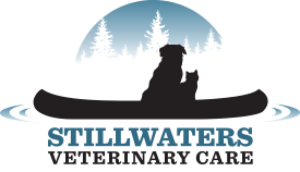 Stillwaters Veterinary Care PC